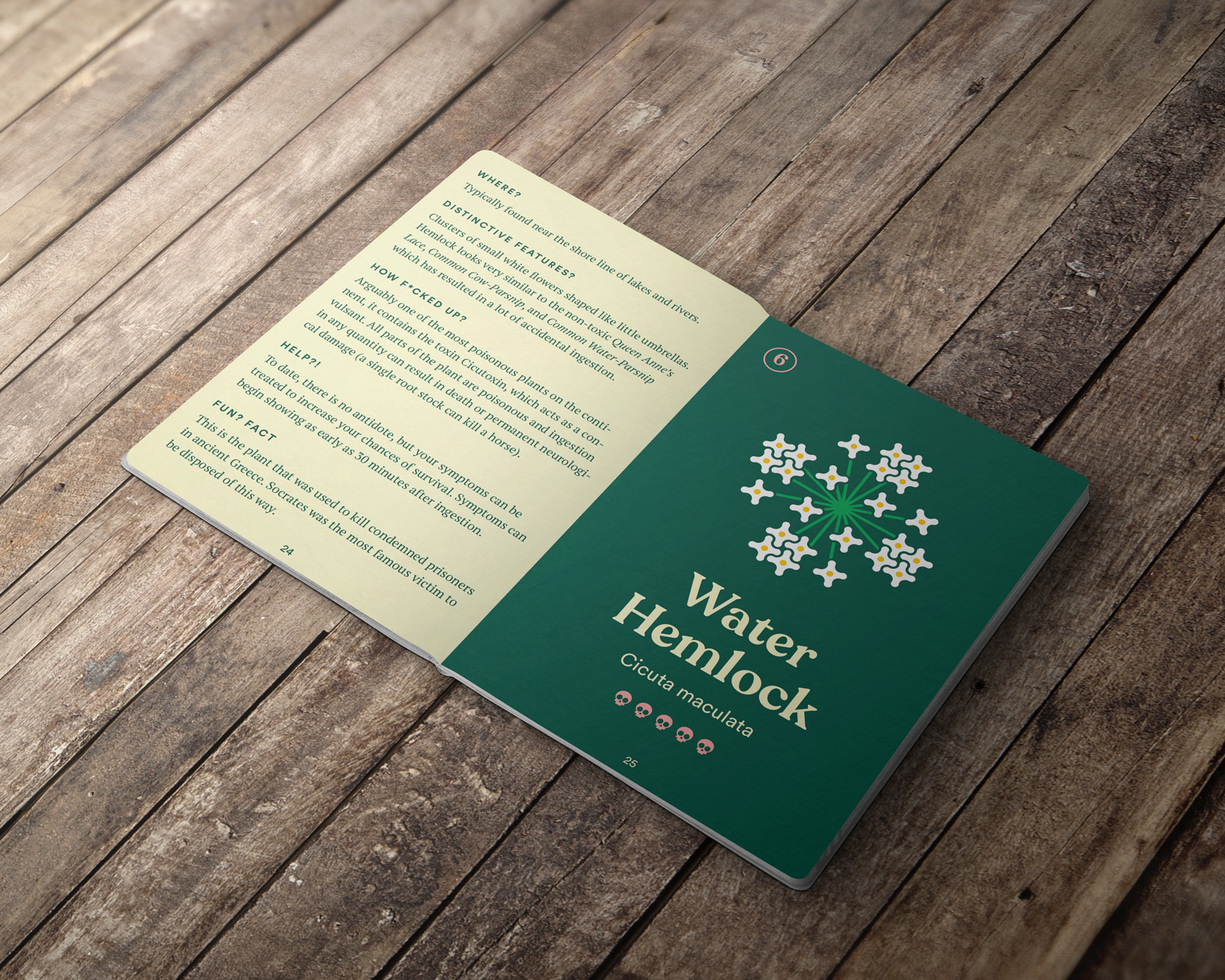Camp passport open against a wooden floor, information about water hemlock is shown along with an illustration of the plant.